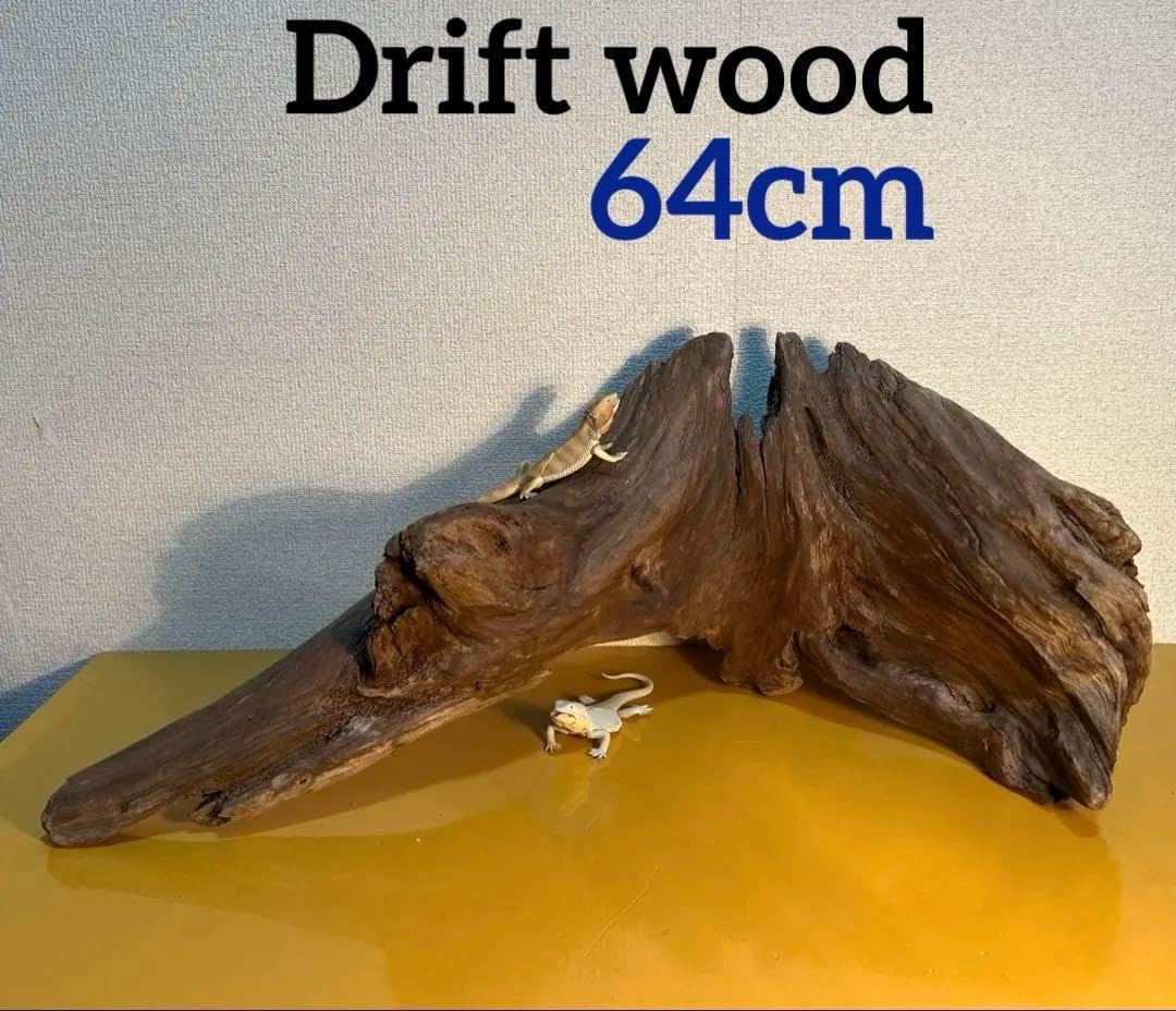 SS611 流木灰汁抜き済みアクアテラリウム爬虫類シェルターインテリア